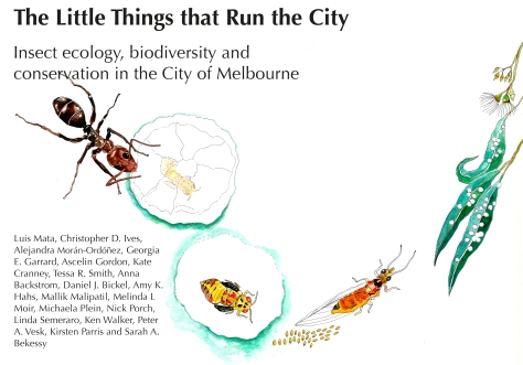 the-little-things-that-run-the-city-final-report-15sep2016-cover